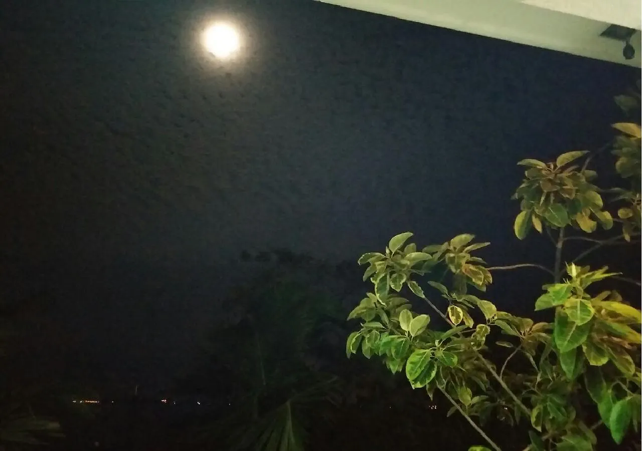 Negombo Holiday Home